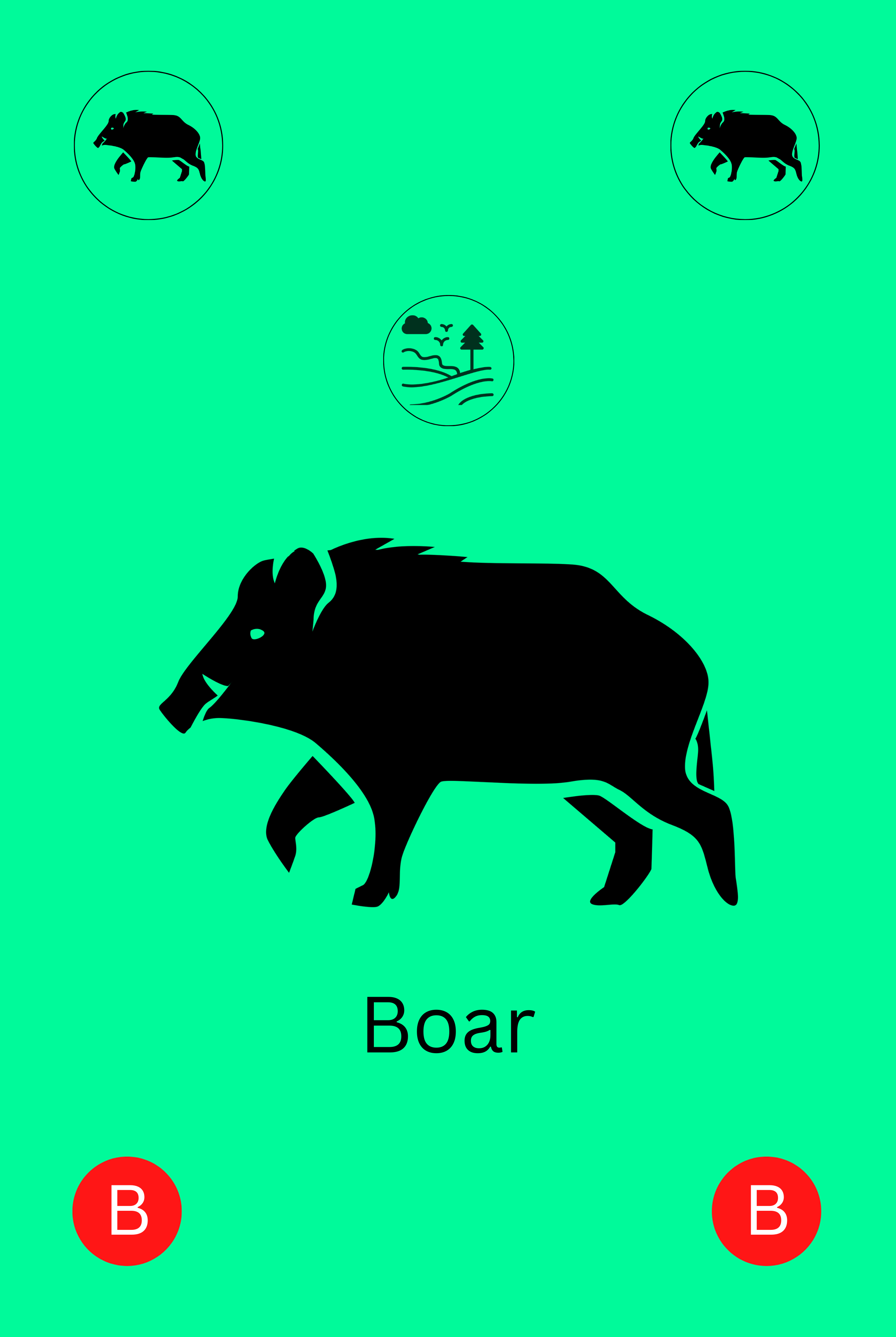 Boar