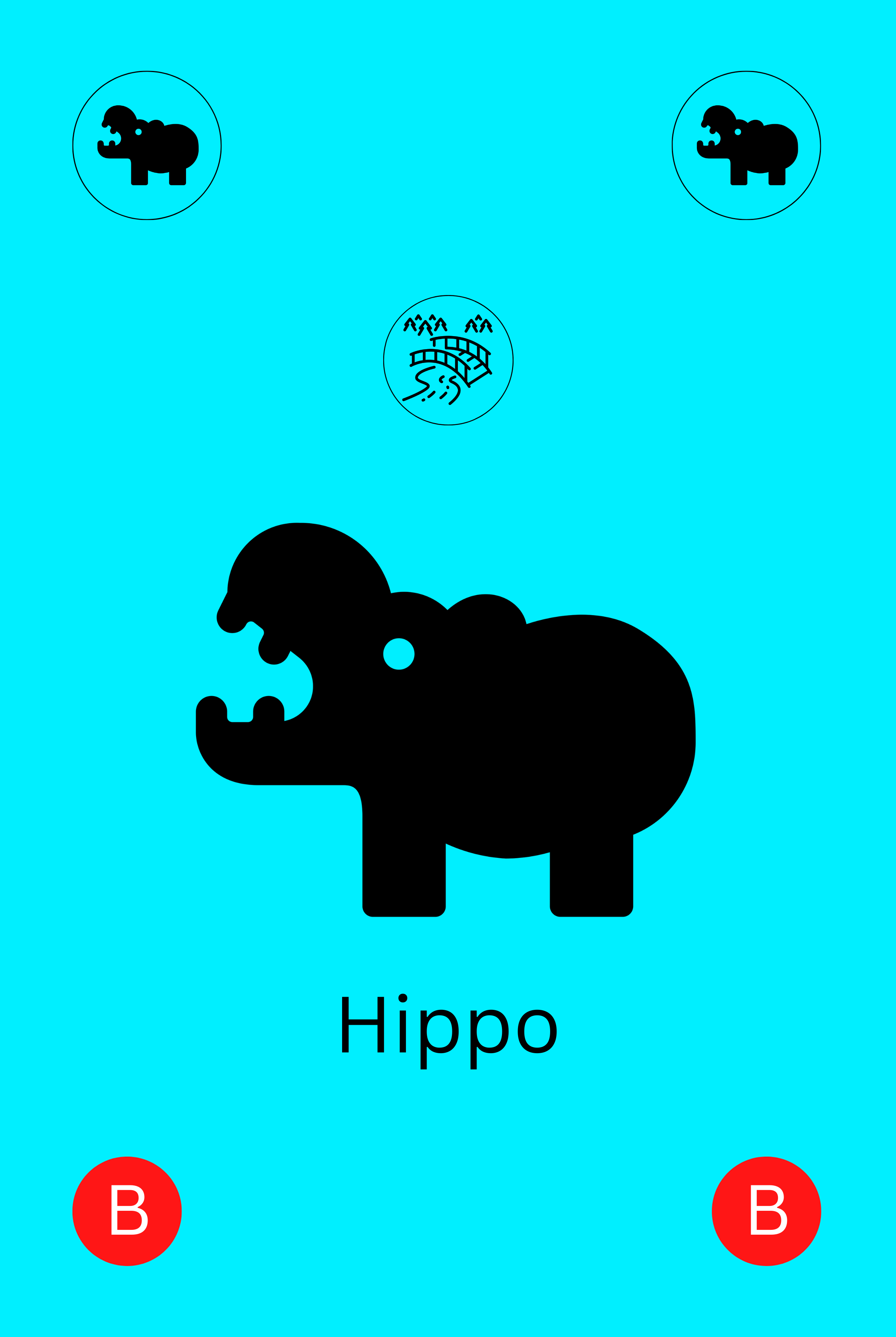 Hippo