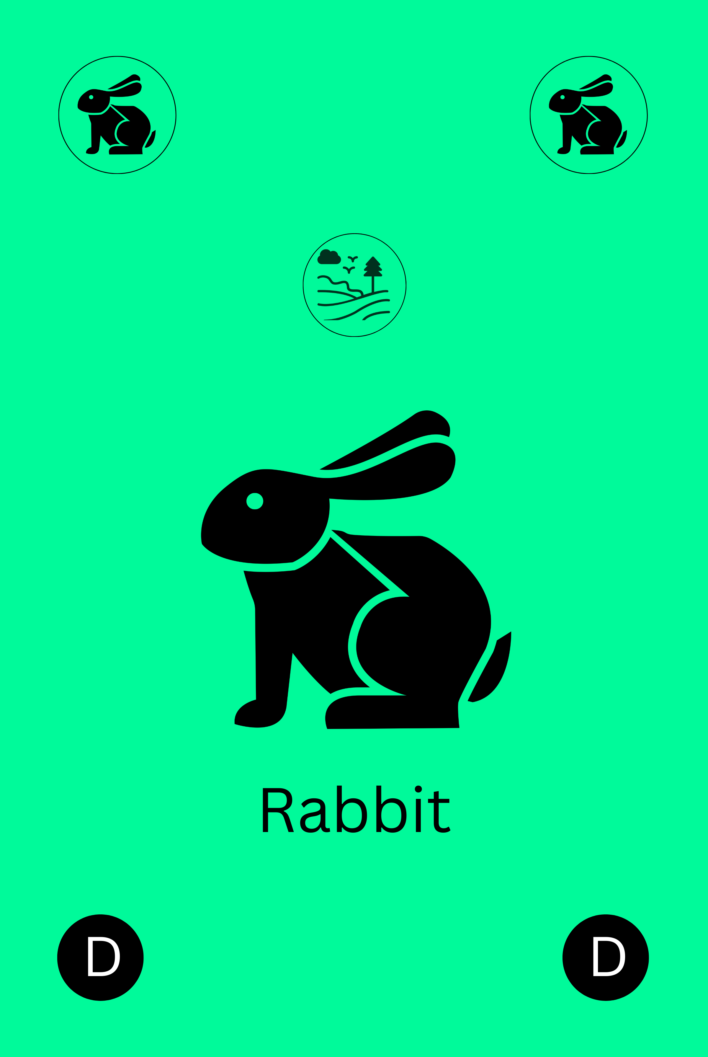 Rabbit